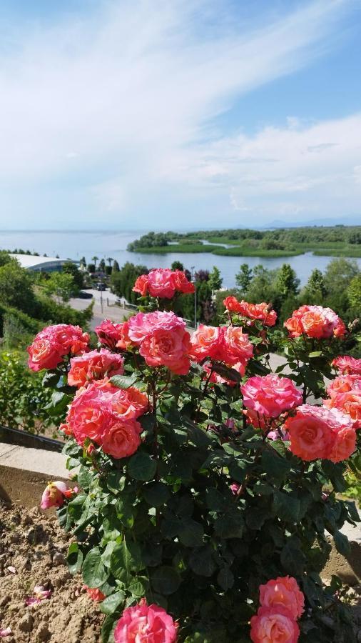 Welcome Guest House Shkodër 外观 照片