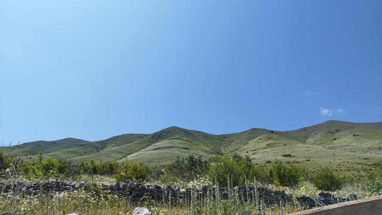 Welcome Guest House Shkodër 外观 照片
